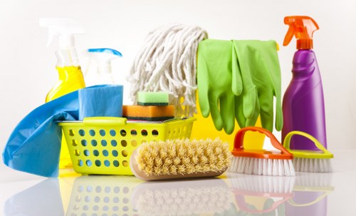 Professional review of carpet cleaning complaint details