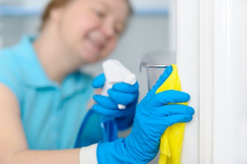 Steam cleaning treatment for carpets in Crofton Park residential property
