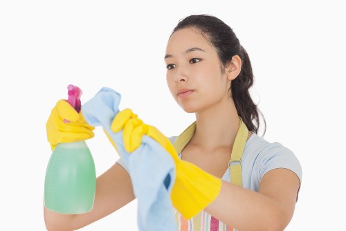 Deep carpet cleaning equipment used in Crofton Park