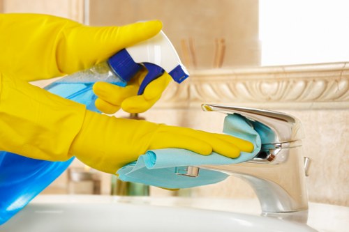 Specialist carpet care for a Crofton Park property
