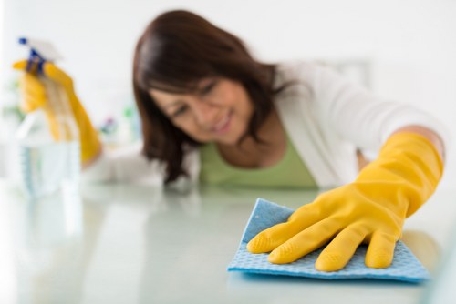 Keyboard navigation focus on an accessible carpet cleaning website page