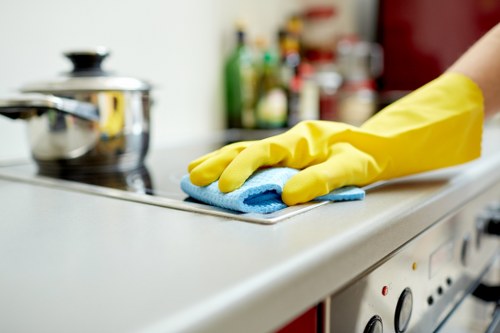 Eco-friendly stain removal tools and cleaning cloths