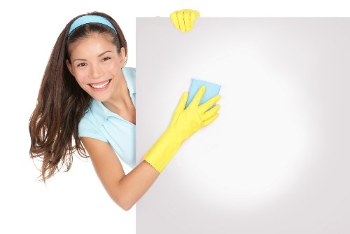 Enzyme cleaning for pet odour treatment in a Crofton Park home