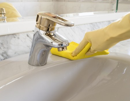 Deep carpet cleaning for pet stains and smells in Crofton Park